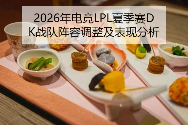 2026年电竞LPL夏季赛DK战队阵容调整及表现分析