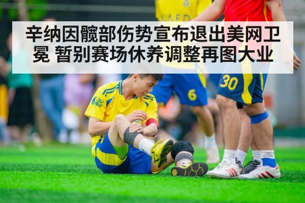辛纳因髋部伤势宣布退出美网卫冕 暂别赛场休养调整再图大业